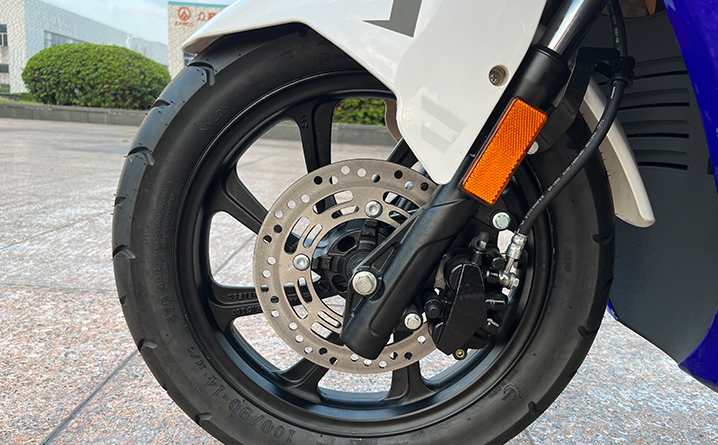 RadRover Electric Fat Bike Version 5key feature 2