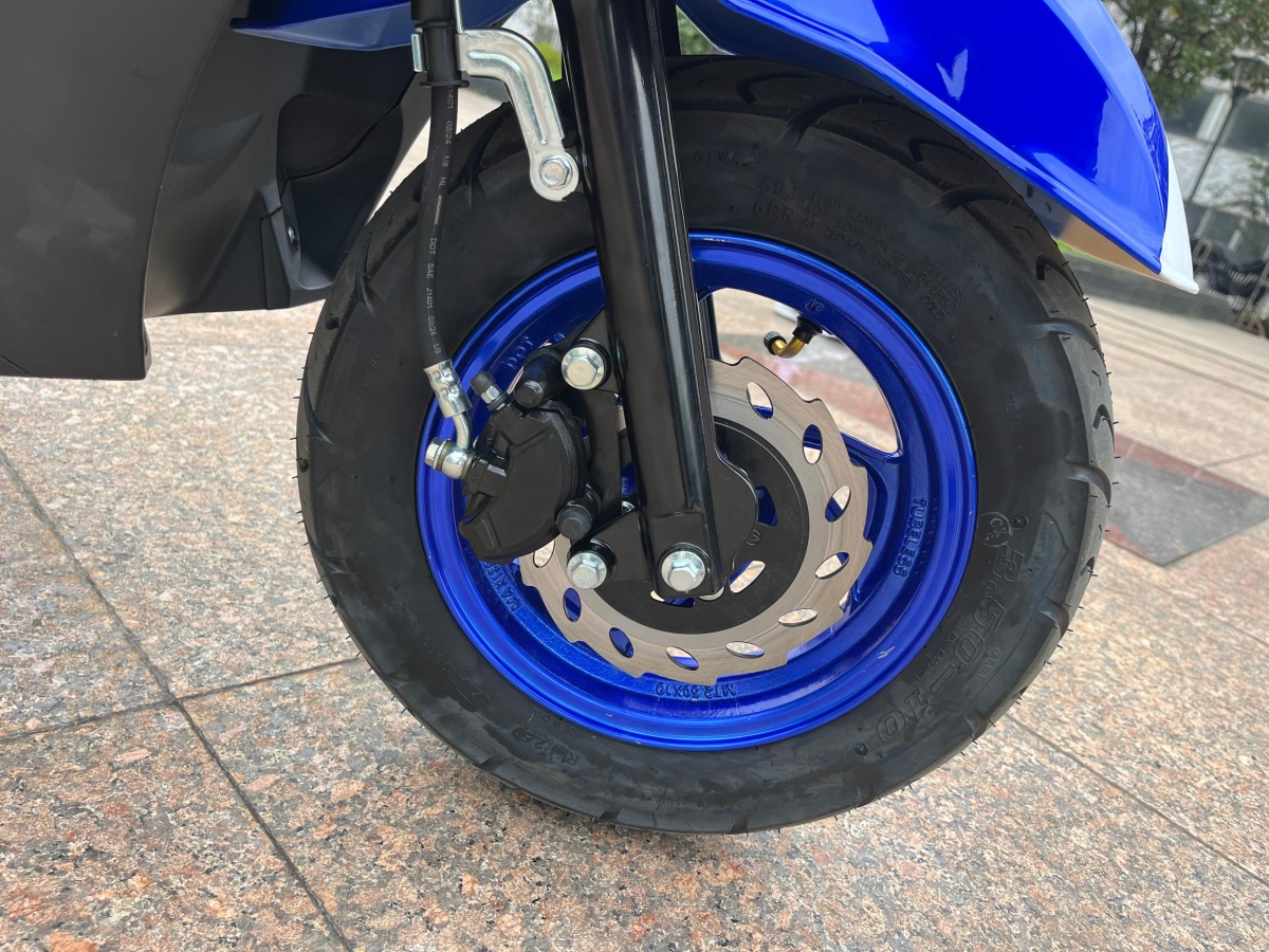 RadRover Electric Fat Bike Version 5key feature 2