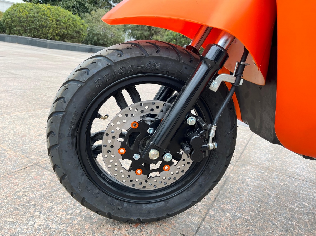 RadRover Electric Fat Bike Version 5key feature 2