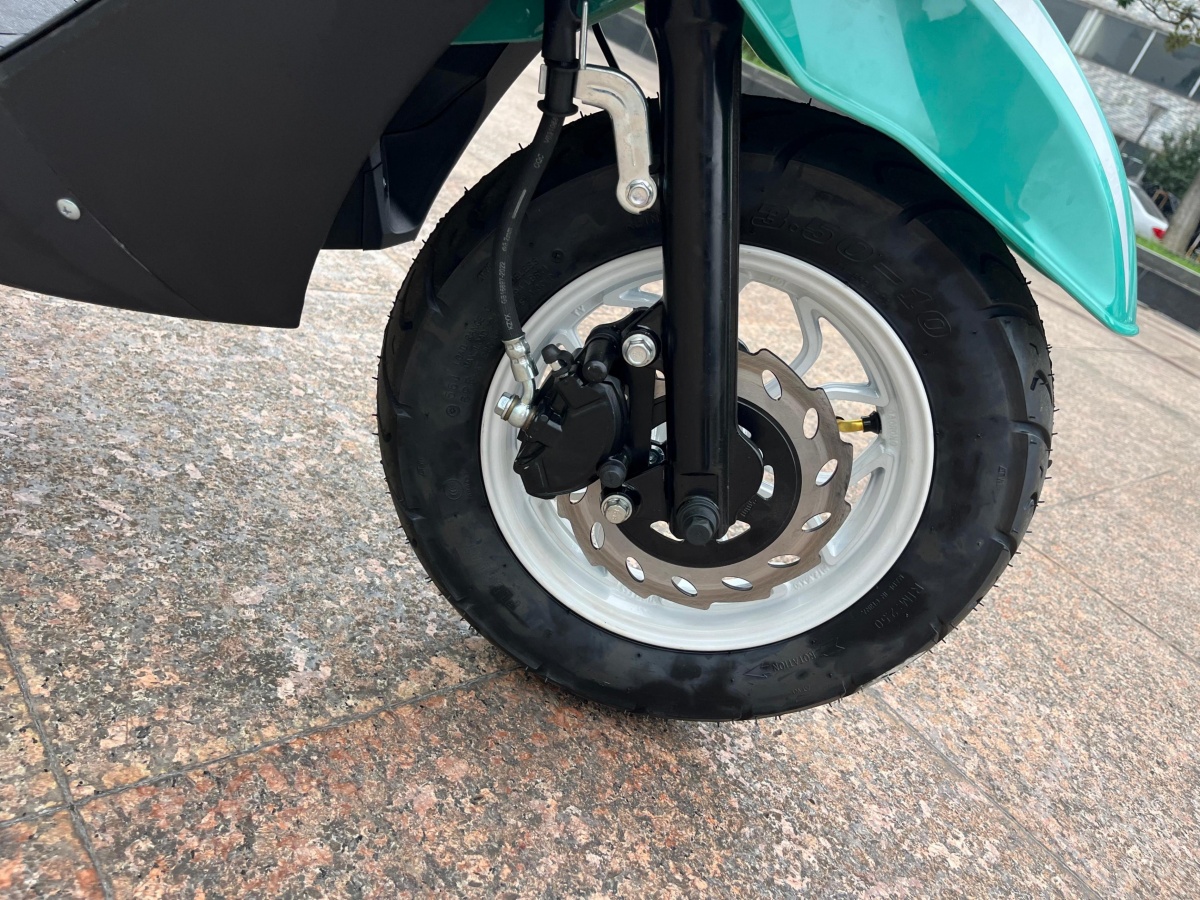 RadRover Electric Fat Bike Version 5key feature 2