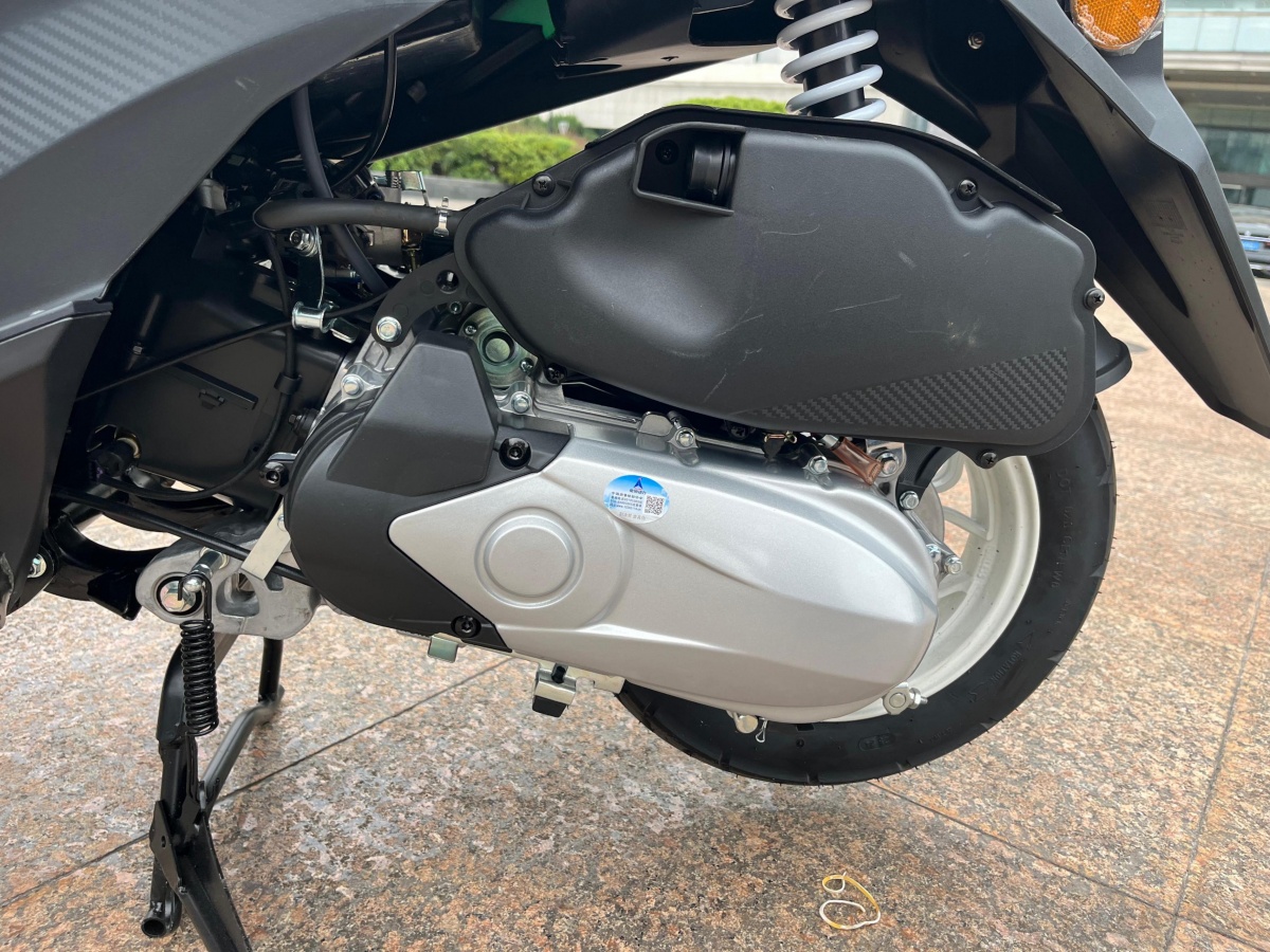 RadRover Electric Fat Bike Version 5key feature 3