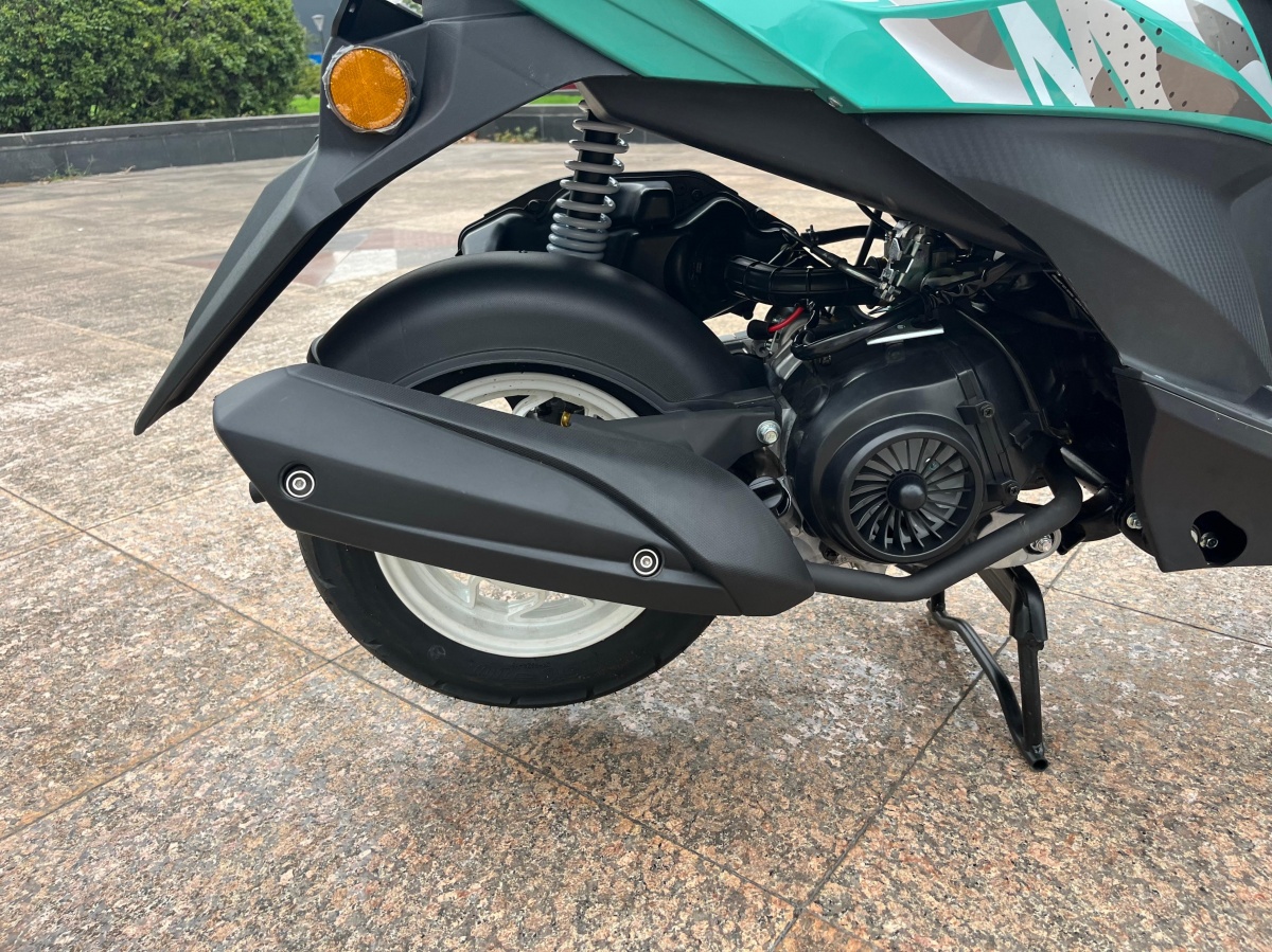 RadRover Electric Fat Bike Version 5key feature 4