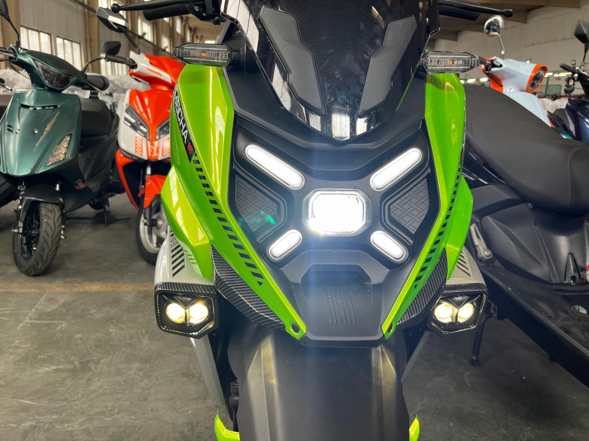 RadRover Electric Fat Bike Version 5key feature 1