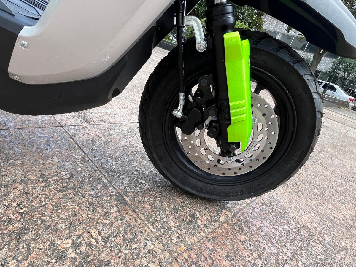 RadRover Electric Fat Bike Version 5key feature 2