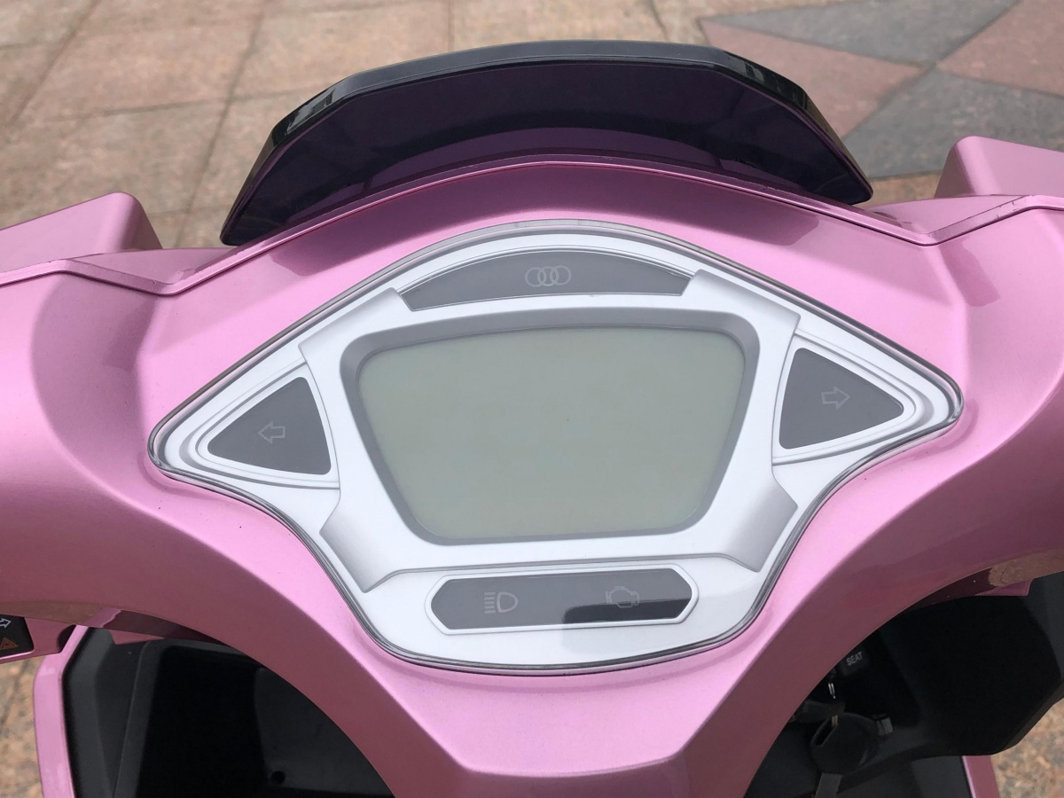 RadRover Electric Fat Bike Version 5key feature 1