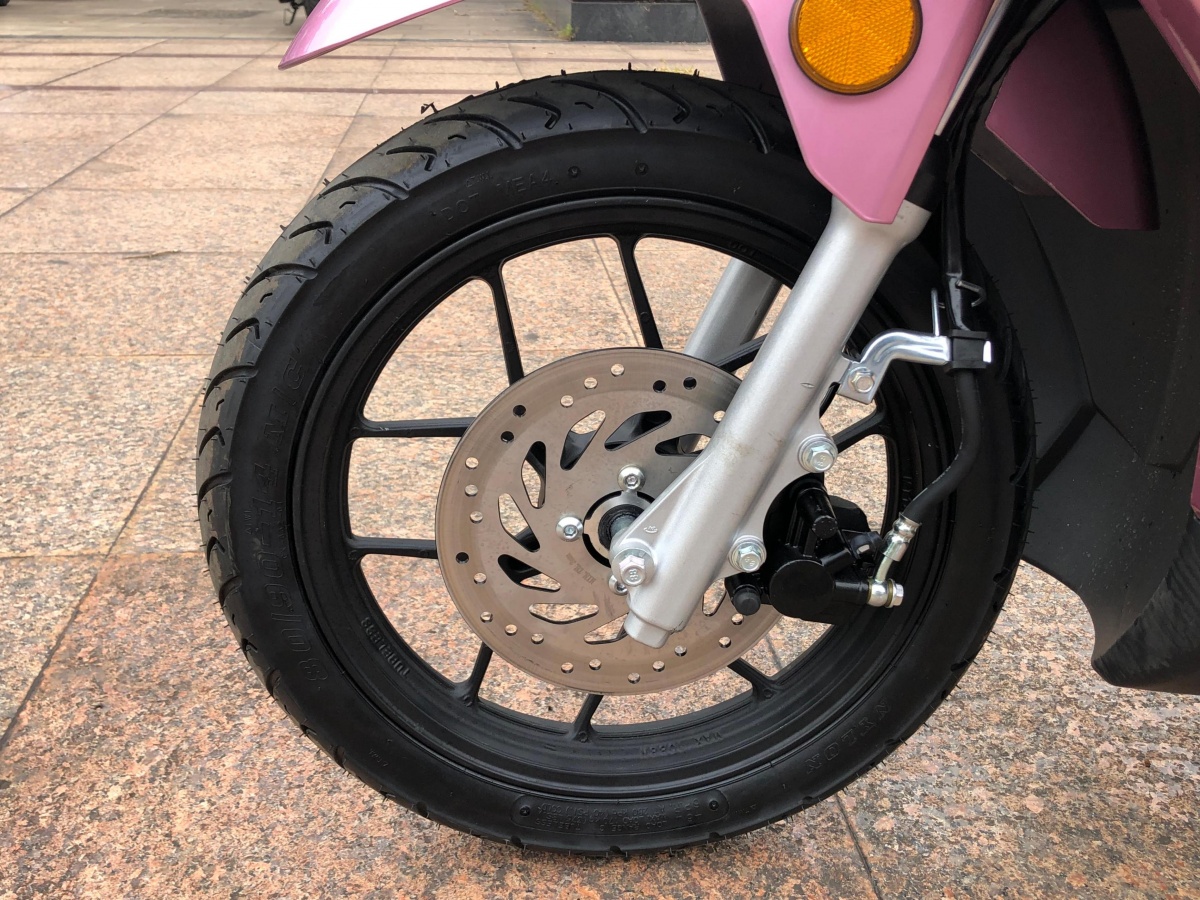 RadRover Electric Fat Bike Version 5key feature 2
