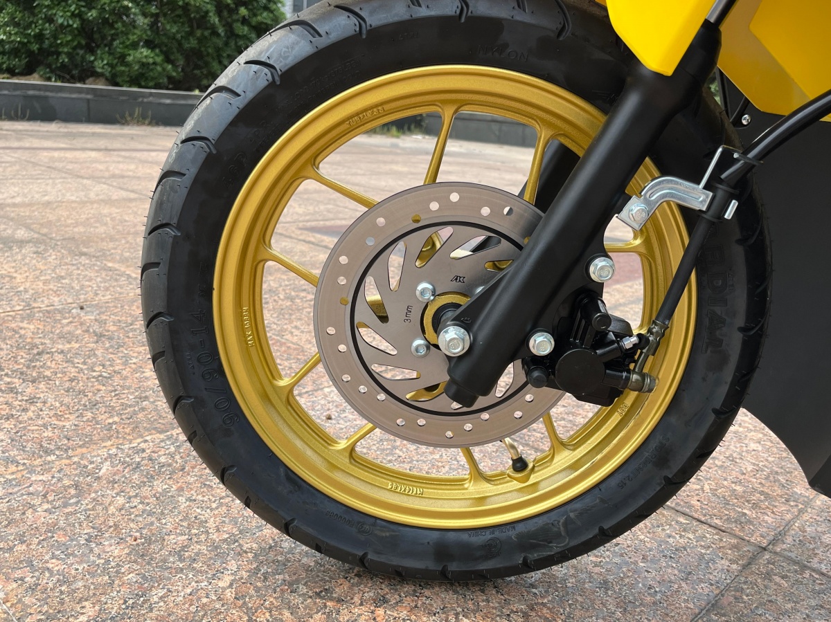RadRover Electric Fat Bike Version 5key feature 2