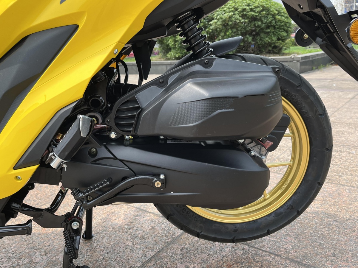 RadRover Electric Fat Bike Version 5key feature 4