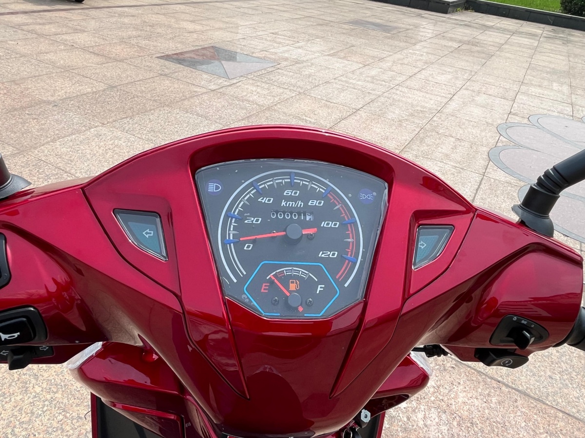 RadRover Electric Fat Bike Version 5key feature 1