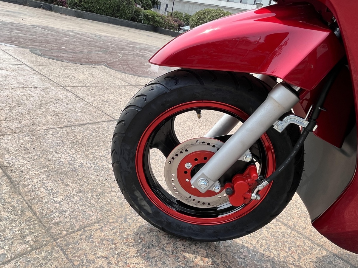 RadRover Electric Fat Bike Version 5key feature 2