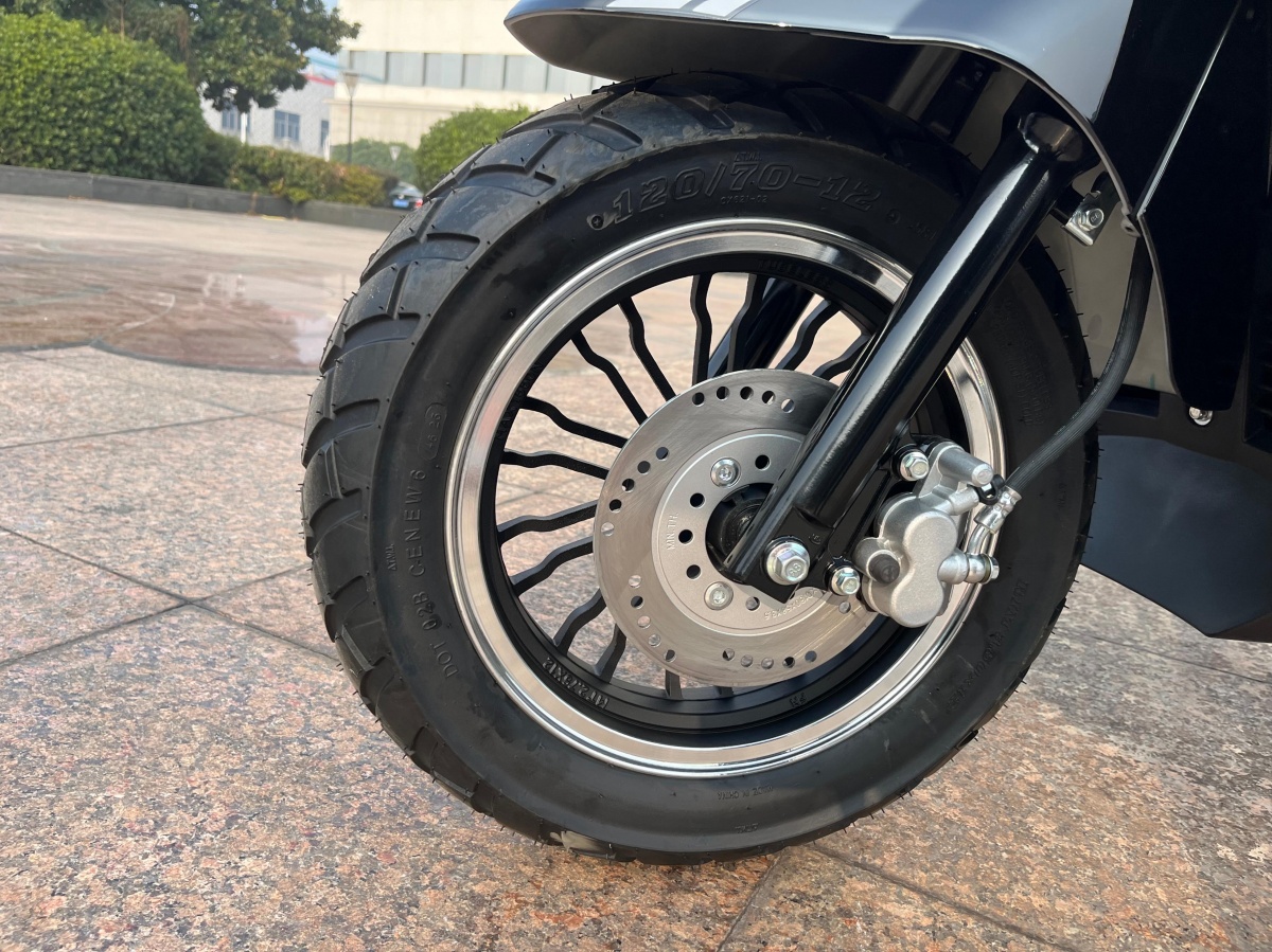 RadRover Electric Fat Bike Version 5key feature 2