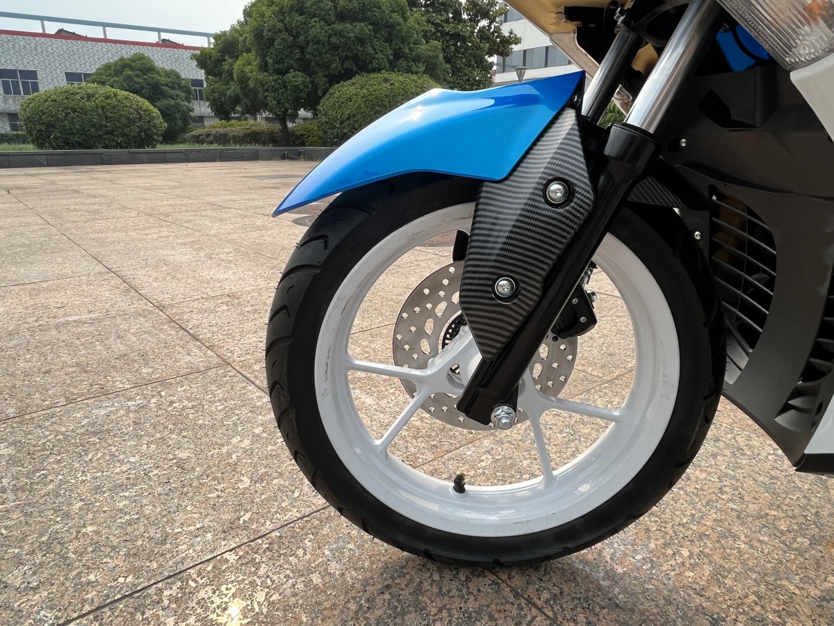 RadRover Electric Fat Bike Version 5key feature 2