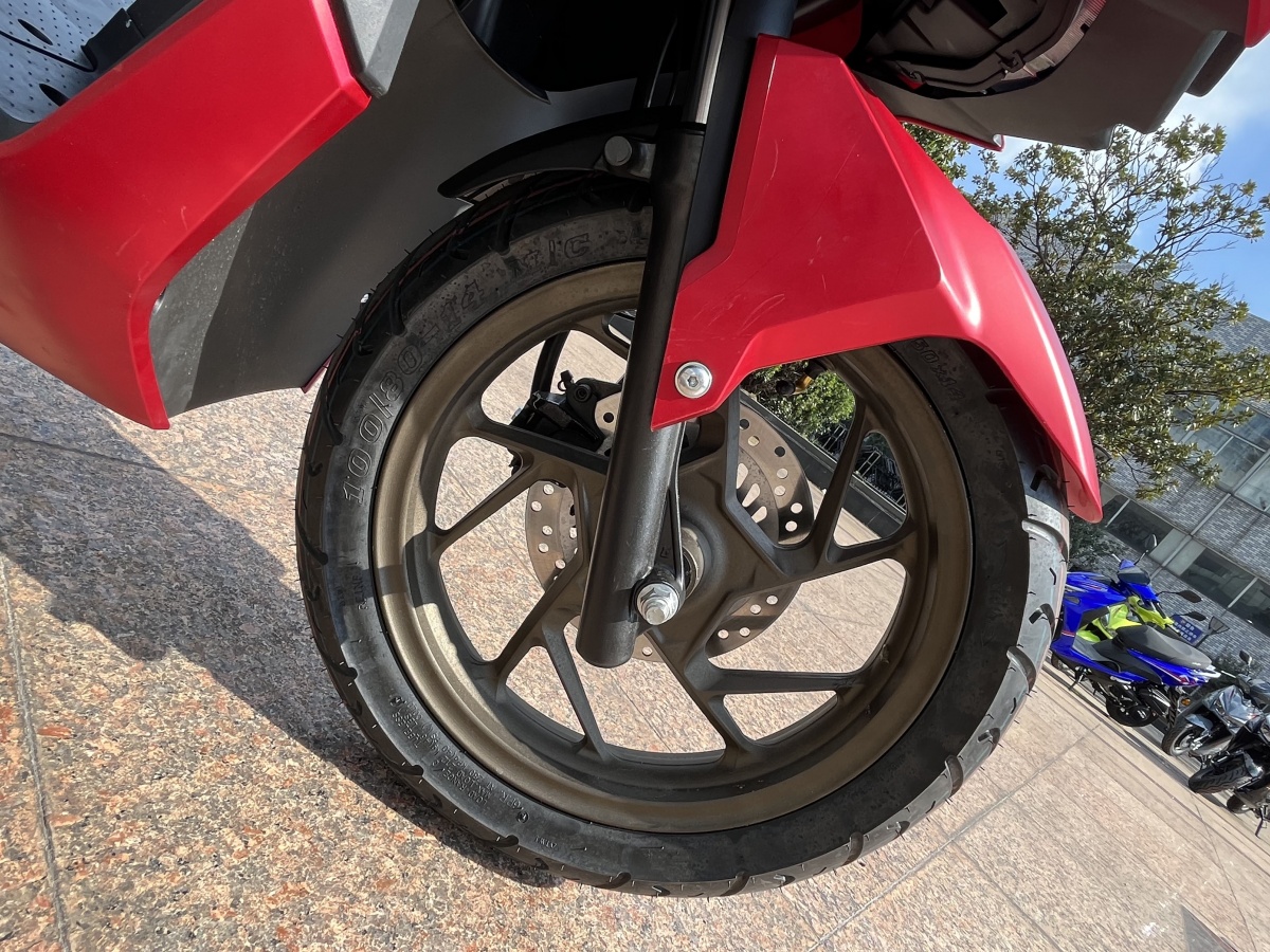 RadRover Electric Fat Bike Version 5key feature 2