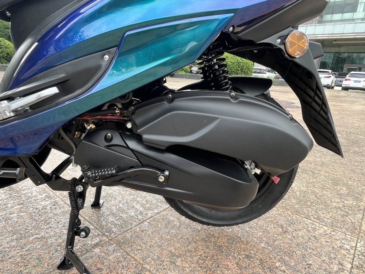 RadRover Electric Fat Bike Version 5key feature 4