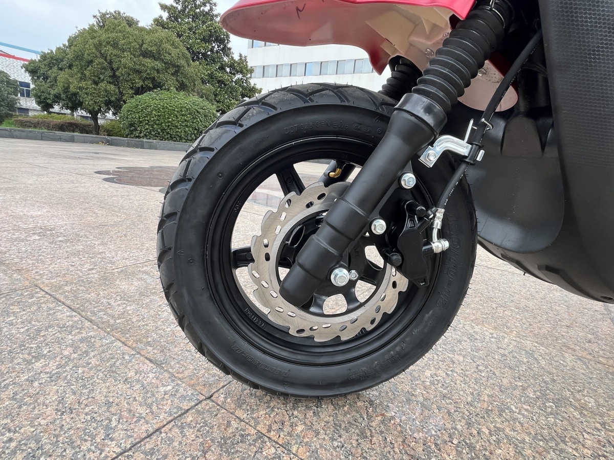 RadRover Electric Fat Bike Version 5key feature 2