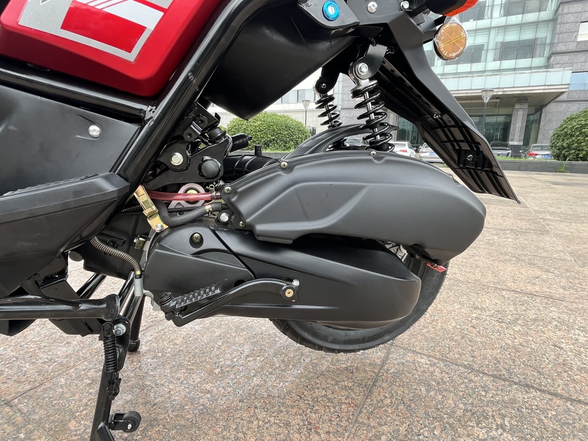RadRover Electric Fat Bike Version 5key feature 4
