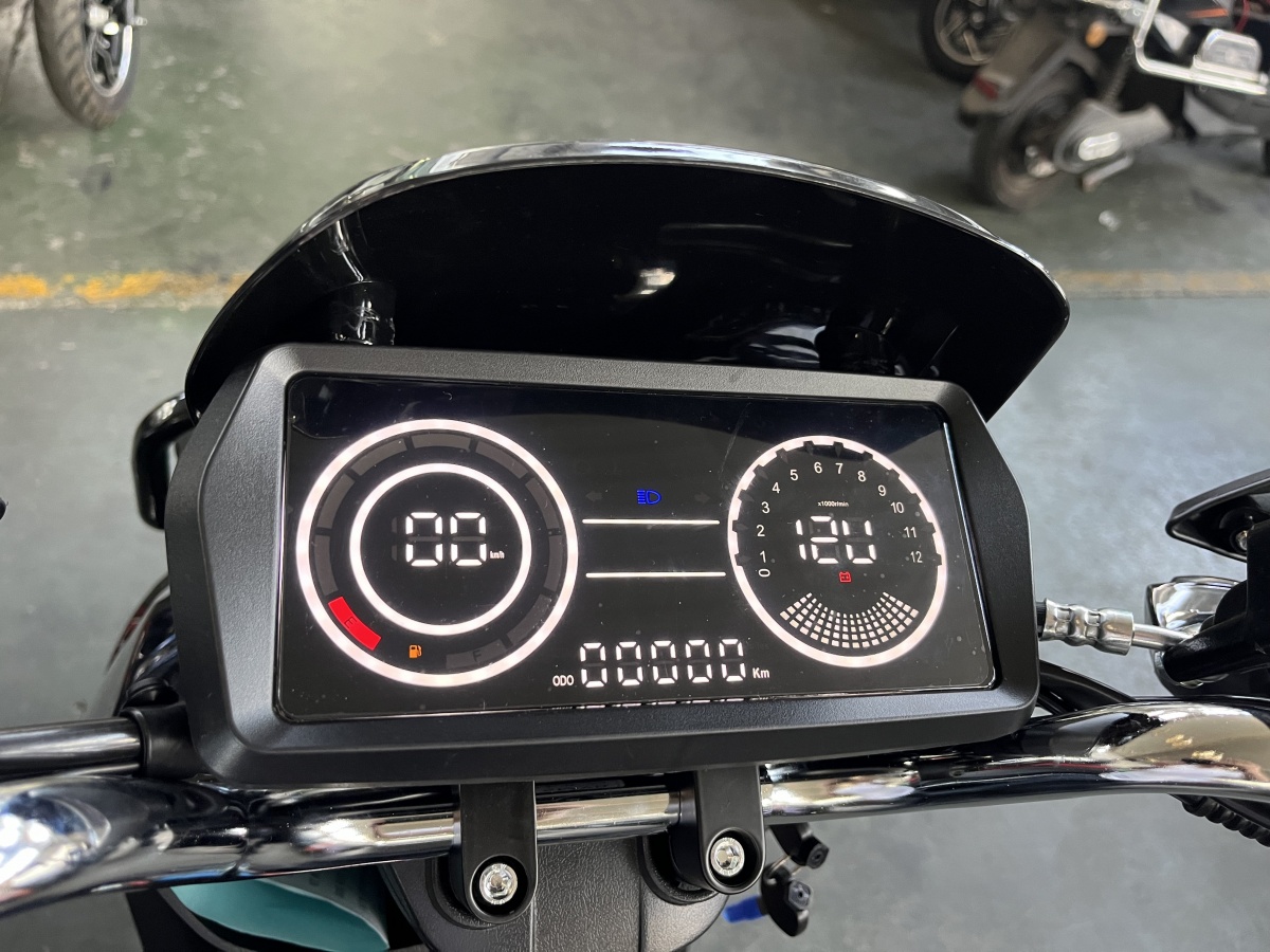 RadRover Electric Fat Bike Version 5key feature 1