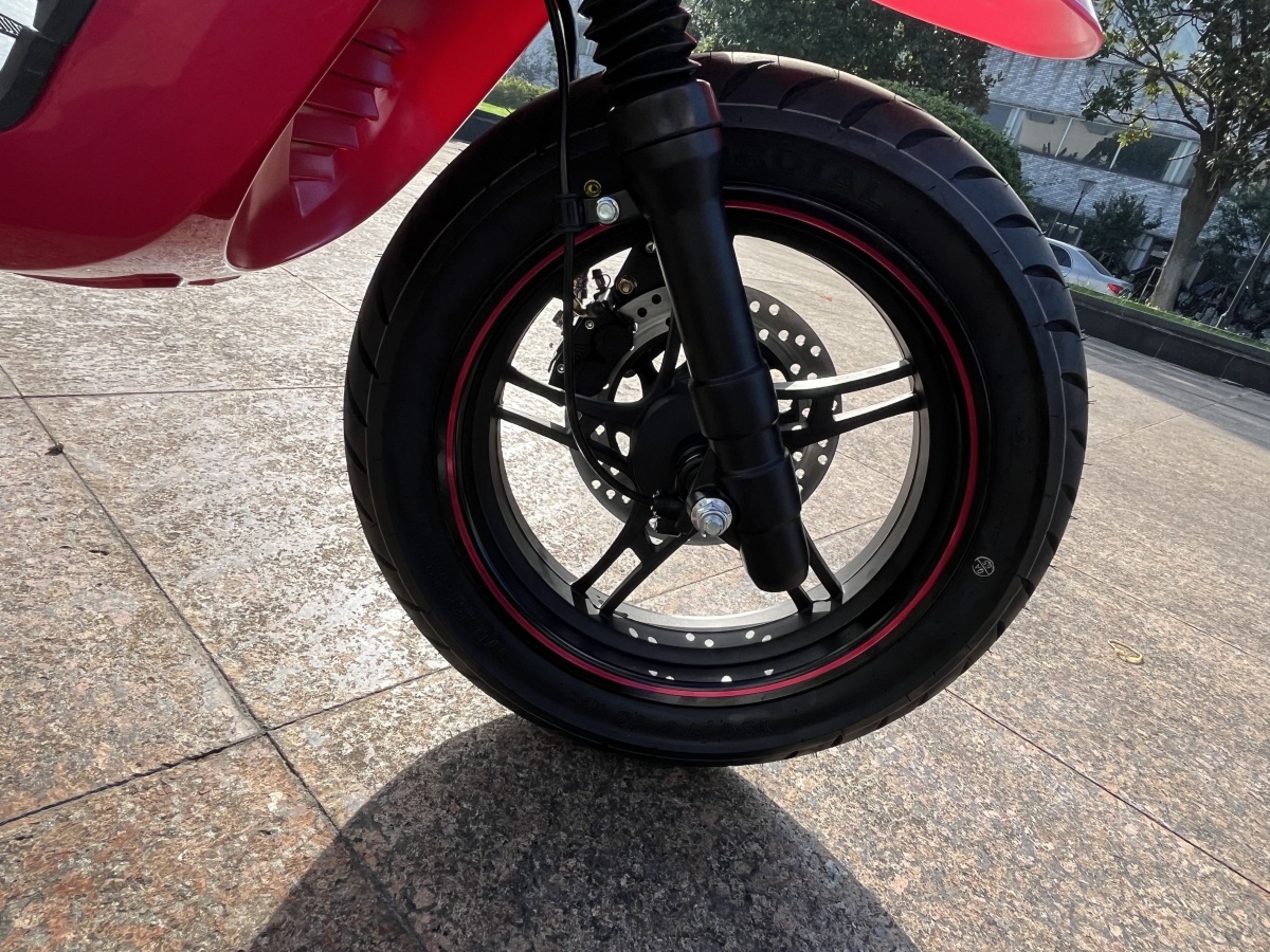 RadRover Electric Fat Bike Version 5key feature 2